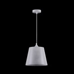 Подвесной светильник Maytoni P528PL-01W Walter Pendant