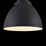 Подвесной светильник Maytoni P535PL-01B Bellevue Pendant