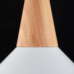 Подвесной светильник Maytoni P996-PL-01-W Trottola