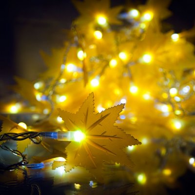 Гирлянда Gauss Гирлянда Gauss "Кленовые листья" 5м, 220-240V IP 65 желтый свет PH719013803