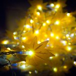 Гирлянда Gauss "Кленовые листья" 5м, 220-240V IP 65 желтый свет PH719013803
