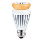 Paulmann 28223 LED Premium AGL 17W E27 Warmwei?