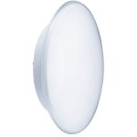 Светильник настенно-потолочный Paulmann 70036