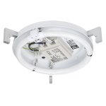 Светильник настенно-потолочный Paulmann 70037