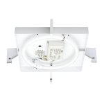 Светильник настенно-потолочный Paulmann 70047