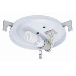 Светильник настенно-потолочный Paulmann 70048