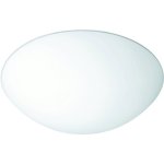 Стекло Paulmann 70054