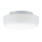 Светильник потолочный Paulmann 70342