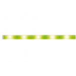 Paulmann 70483 FN YourLED DECO Stripe Neon Green