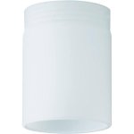 Стекло Paulmann 92572