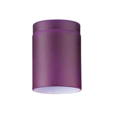 Стекло Paulmann 92578