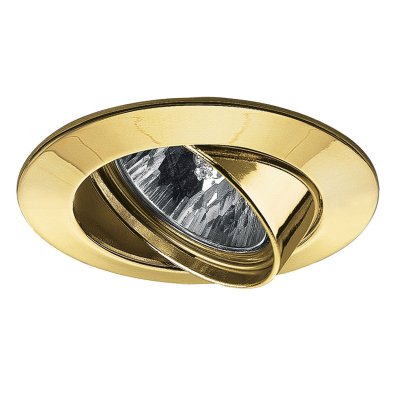 Светильник поворотный Paulmann 99458