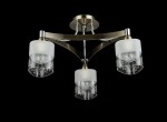 Потолочный светильник Freya RC003-CL-03-R Tasmania