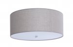 Потолочный светильник Relax P1 10 95g