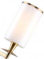 Светильник настенный 1047/05/01W Stilfort Leader