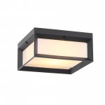 Светильник уличный потолочный St luce SL077.402.01 CUBISTA