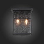 Светильник уличный настенный St luce SL079.401.02 GLAZGO