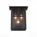 Светильник уличный настенный St luce SL079.401.03 GLAZGO