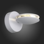 Светильник уличный настенный St luce SL090.501.03 PORTATO