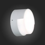 Светильник уличный настенный St luce SL090.511.01 LINATA