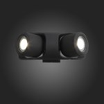 Светильник уличный настенный St luce SL093.401.02 ROUND