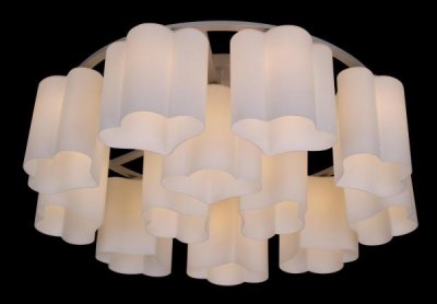 Светильник потолочный St luce SL116.502.12