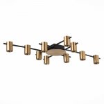 Светильник потолочный St luce SL1207.402.10 VEROLI