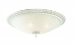 Светильник потолочный St luce SL135.502.04 Fascino