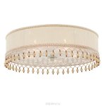 Светильник потолочный St luce SL141.502.05 SL141