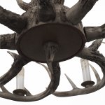 Люстра из рогов St Luce SL154.703.08