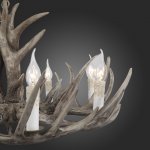 Люстра из рогов St Luce SL154.703.08