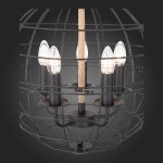 Светильник подвесной SL191.403.05 St luce TATICО