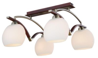 Светильник потолочный St luce SL196.302.04