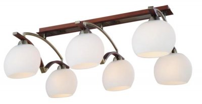 Светильник потолочный St luce SL196.302.06