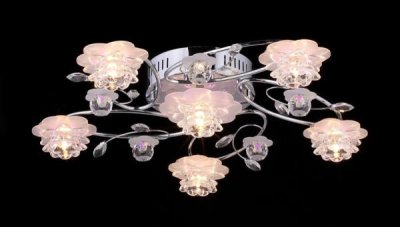 Светильник потолочный St luce SL200.102.06 SL200