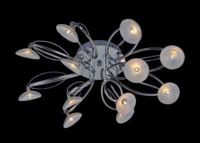 Светильник потолочный St luce SL213.102.12 SL213