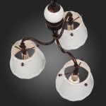 Люстра подвесная St luce SL259.503.03 FAMIGLIA