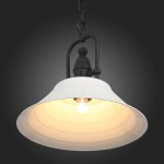 Светильник подвесной St luce SL261.503.01 PITTURA