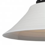 Светильник подвесной St luce SL261.503.01 PITTURA