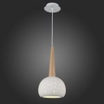 Светильник подвесной St luce SL288.553.01 CLEMENZA