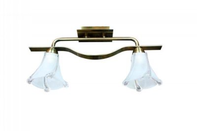 Светильник потолочный St luce SL308.302.02