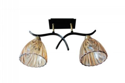 Светильник потолочный St luce SL315.302.02 SL315 Светильник потолочный St luce SL315.302.02 SL315