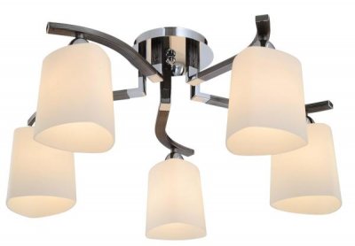 Светильник потолочный St luce SL320.702.05 SL320