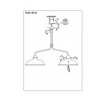 Светильник потолочный SL323.403.02 St luce