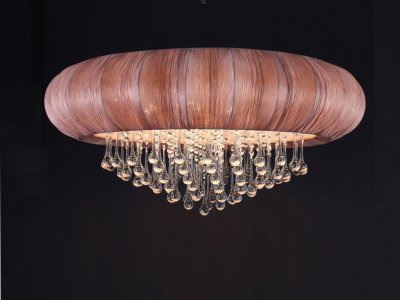 

Светильник потолочный St luce SL350.582.12, SL350.582.12