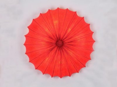 Светильник настенно-потолочный St luce SL351.162.08 SL351 Светильник настенно-потолочный St luce SL351.162.08 SL351