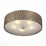 Светильник потолочный St luce SL357.702.05 RONDELLA