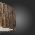 Светильник потолочный St luce SL357.702.05 RONDELLA