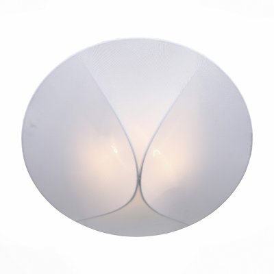 

Светильник St Luce SL360.552.02, SL360.552.02
