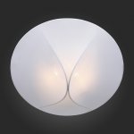 Светильник потолочный St luce SL360.552.02 TONICO